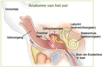 Middenoorontsteking